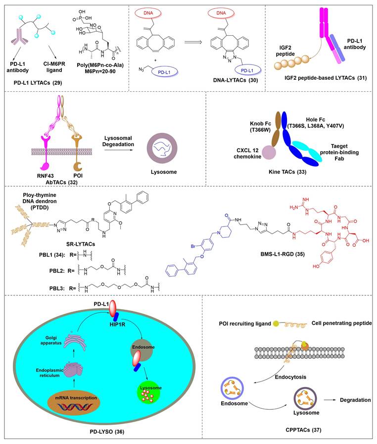 Theranostics Image