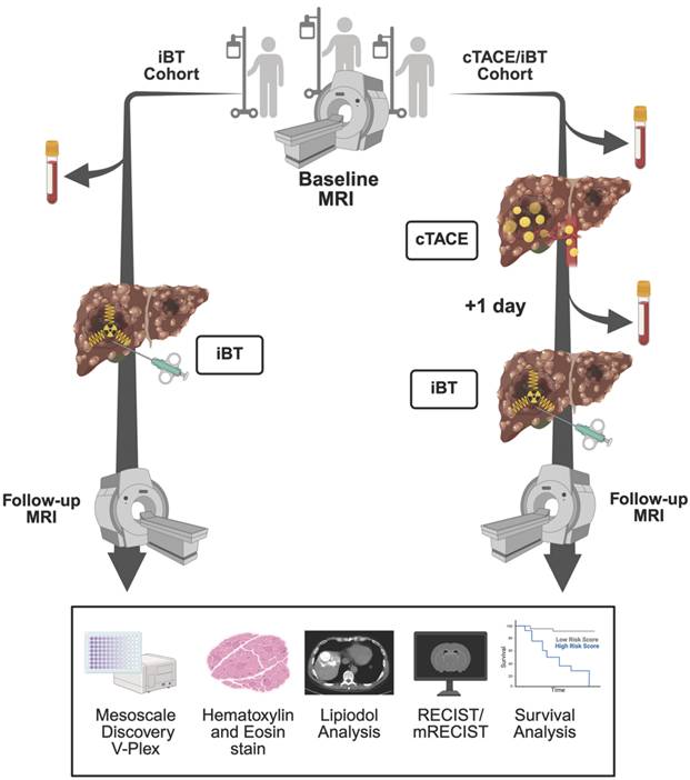 Theranostics Image