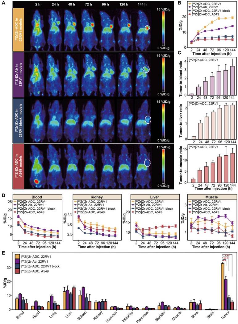 Theranostics Image