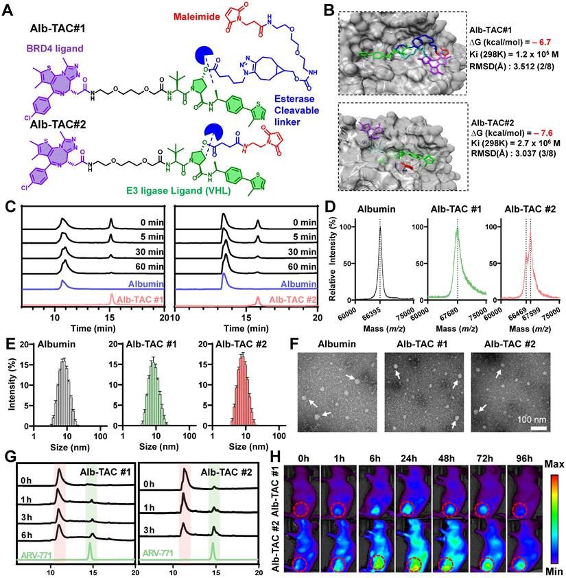 Theranostics Image