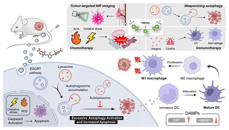 Theranostics Image