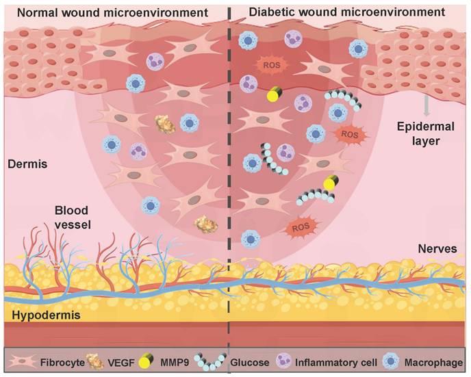 Theranostics Image