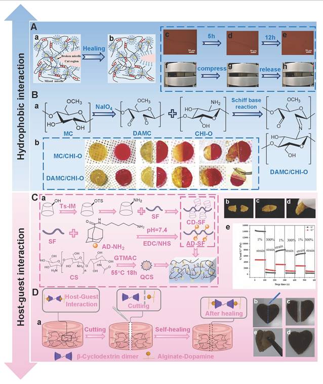Theranostics Image