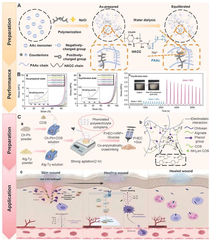 Theranostics Image