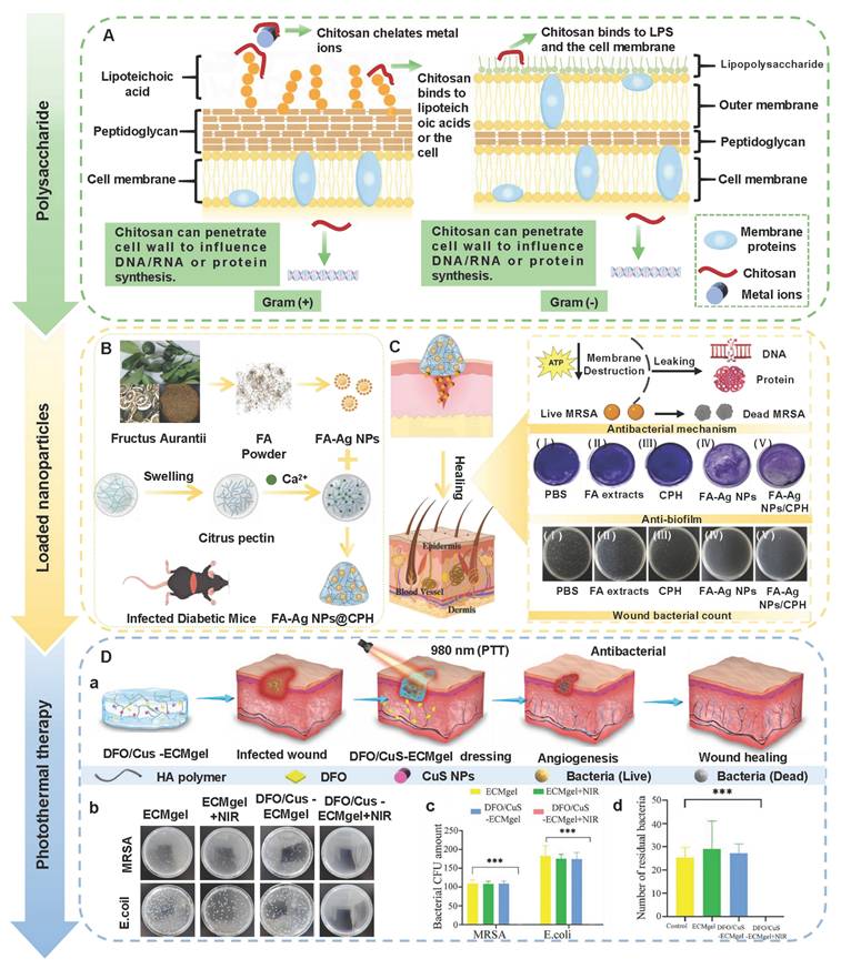 Theranostics Image