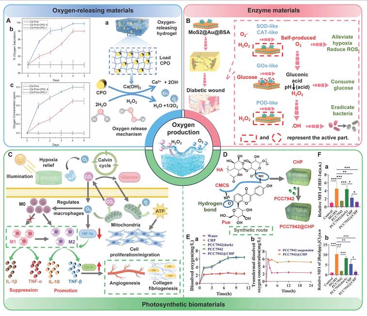 Theranostics Image