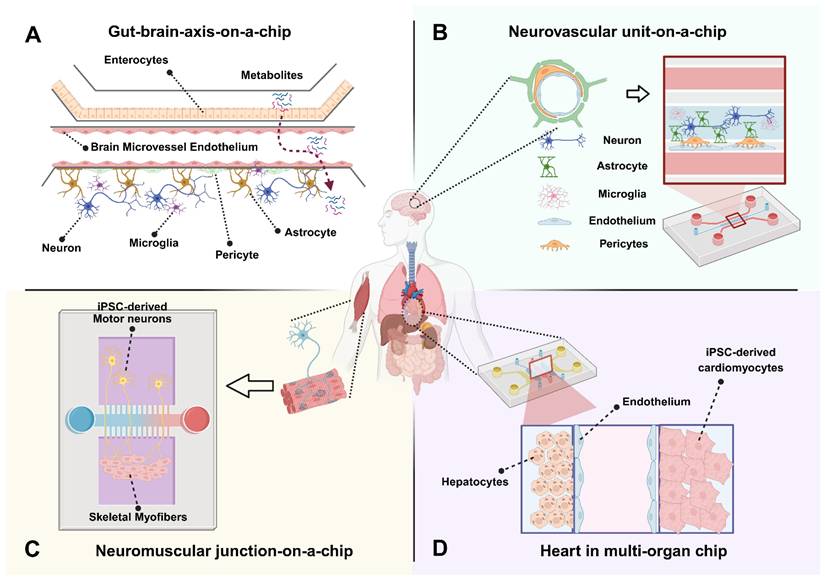 Theranostics Image