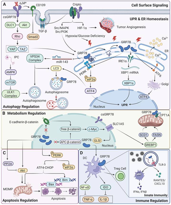 Theranostics Image