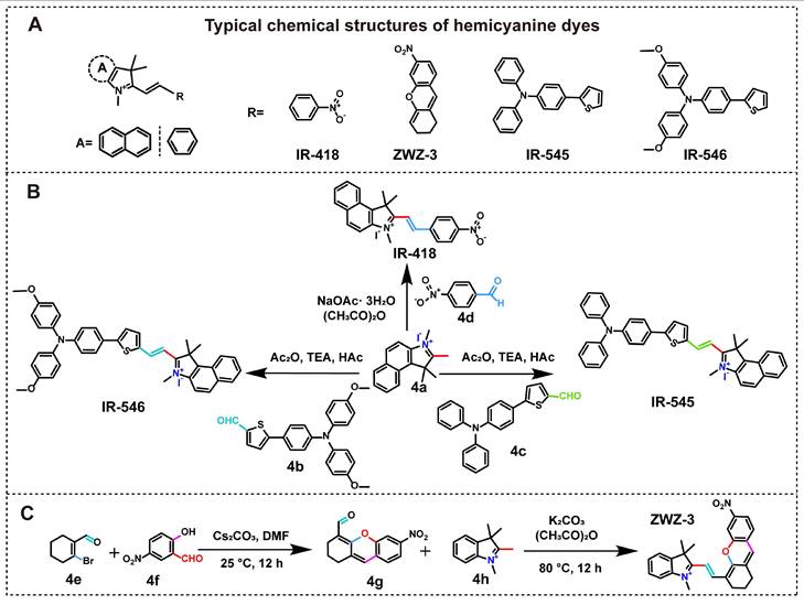 Theranostics Image
