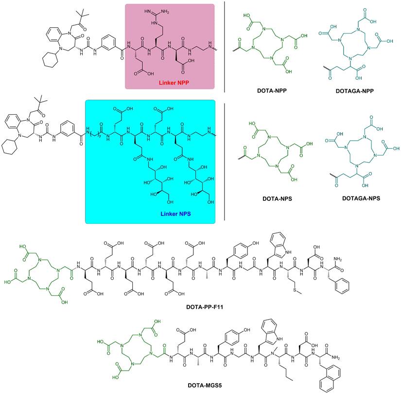 Theranostics Image