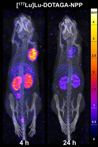 Theranostics Image