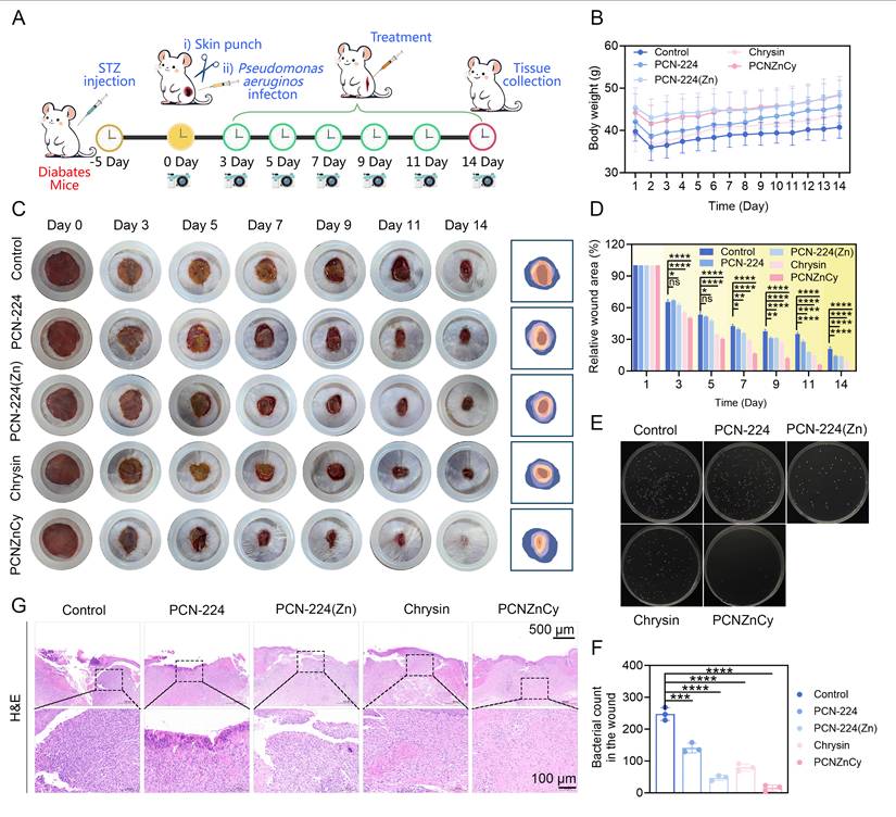 Theranostics Image