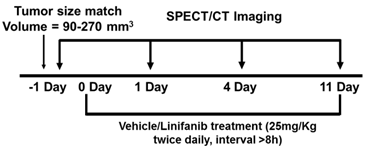 Theranostics inline graphic