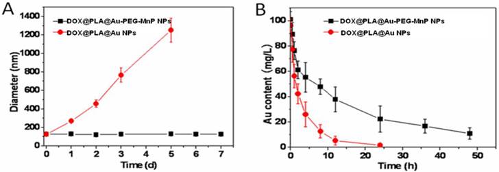 Theranostics Image