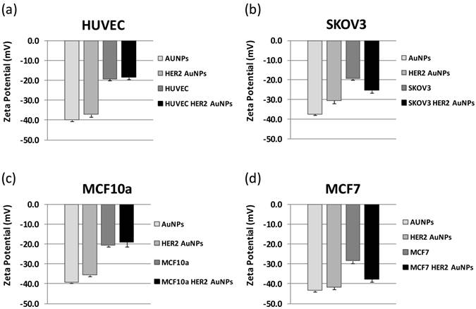 Theranostics 04: 0919 image No. 007
