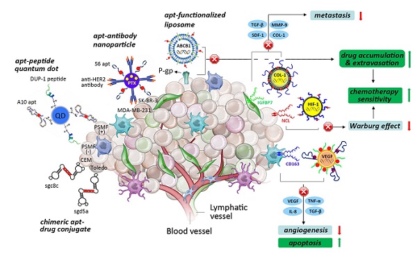 Progress in Aptamer-Mediated Drug Delivery Vehicles for Cancer ...