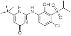 Theranostics inline graphic