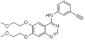 Theranostics inline graphic