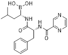 Theranostics inline graphic