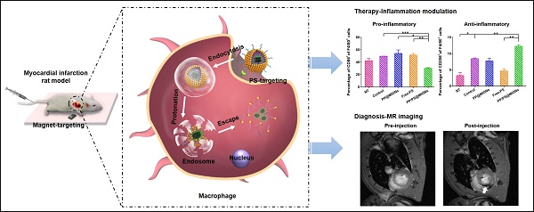 Various nanotechnology-based molecular imaging methods (A) PP/PS@MIONs