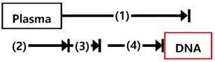 Theranostics inline graphic