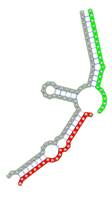 Theranostics inline graphic