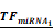 Theranostics inline graphic