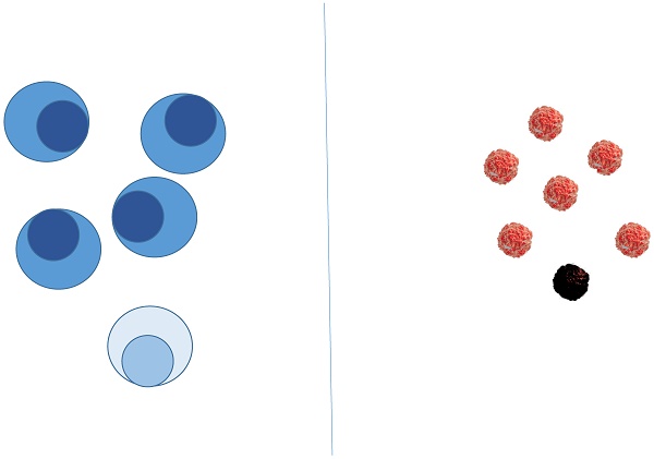 Copy number architectures define treatment-mediated selection of lethal  prostate cancer clones