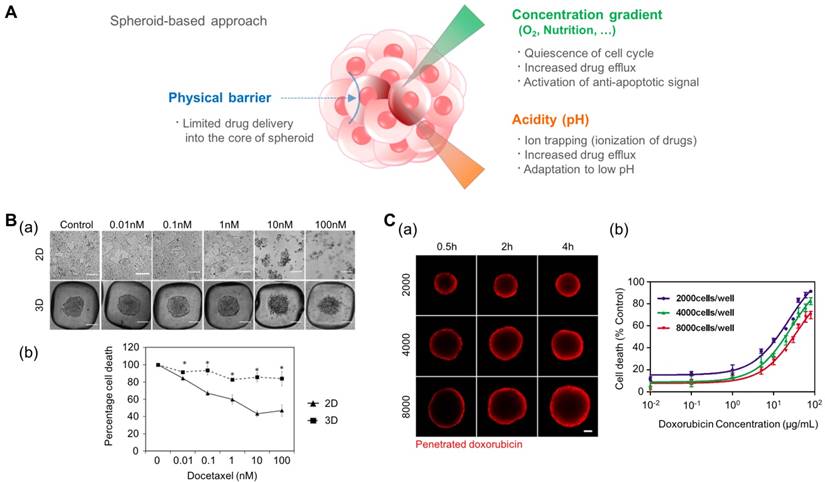 Theranostics Image