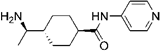 Theranostics inline graphic