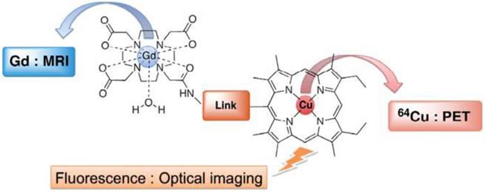 PET-MR and SPECT-MR multimodality probes: Development and challenges