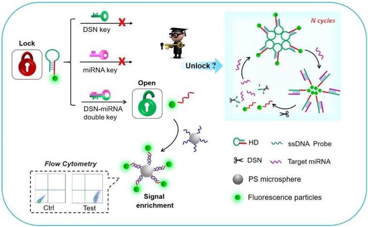 Theranostics Image