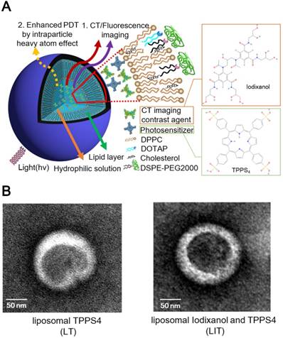 Theranostics Image