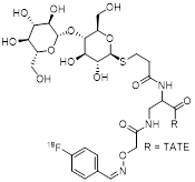 Theranostics inline graphic