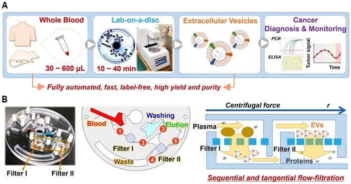 Label-free approaches for extracellular vesicle detection - ScienceDirect