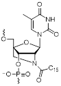 Theranostics inline graphic