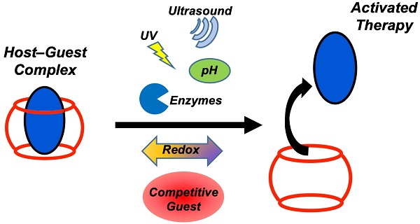 Host–Guest Complexation of Bisporphyrin Cleft and Electron-Deficient  Aromatic Guests