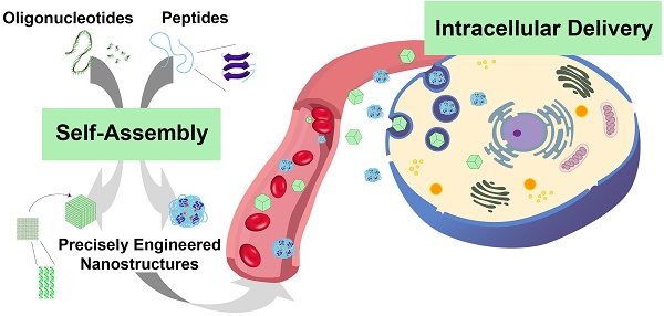 Rationally Designed Self-Assembling Nanovaccines Elicit Robust