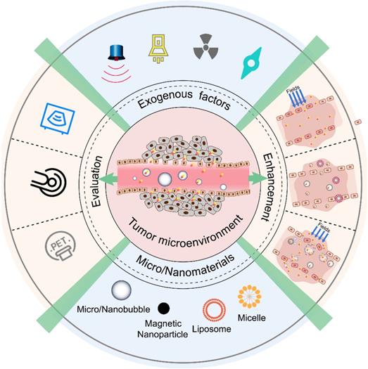 Theranostics Image