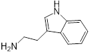 Theranostics inline graphic