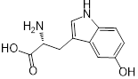 Theranostics inline graphic