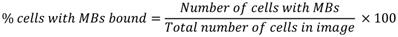 Theranostics inline graphic