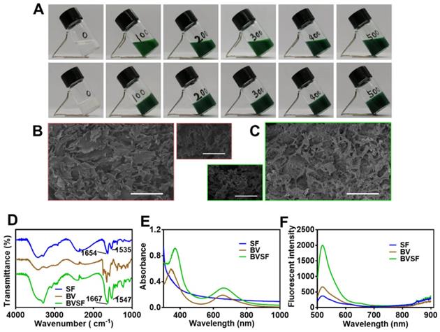 Theranostics Image