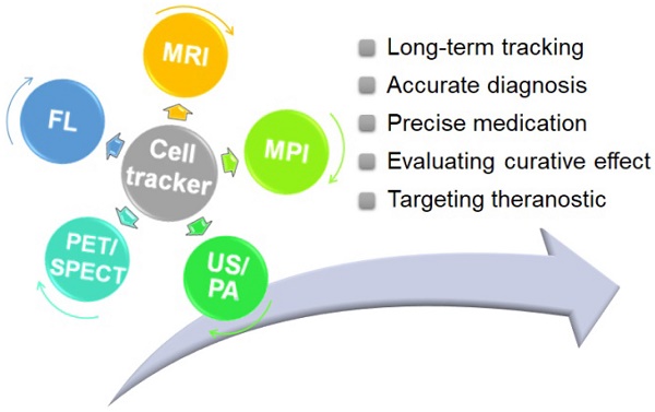 Platelet-Inspired Nanotherapeutics for Biomedical Applications