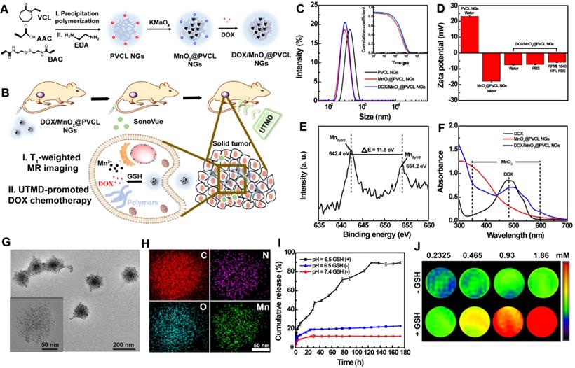 Theranostics Image