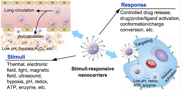 Nanofiber-Based Systems for Stimuli-Responsive and Dual Drug