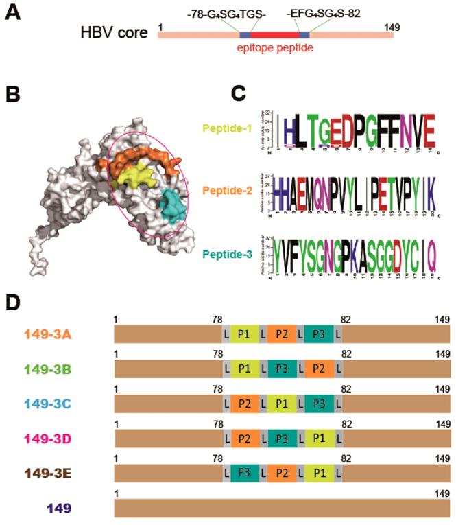 A novel vaccine candidate based on chimeric virus-like particle ...