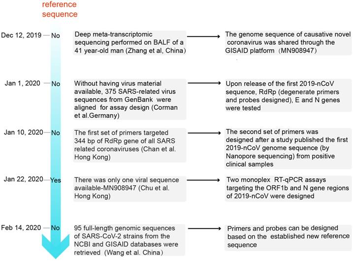 N gene covid test meaning