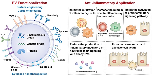 Platelet-Inspired Nanotherapeutics for Biomedical Applications