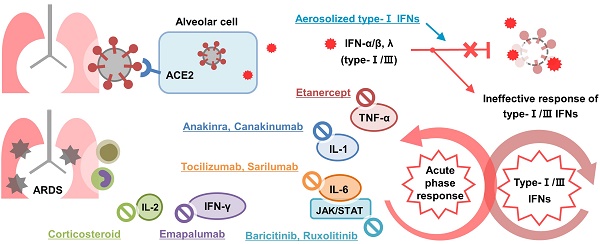 Immunopathogenesis and treatment of cytokine storm in COVID-19